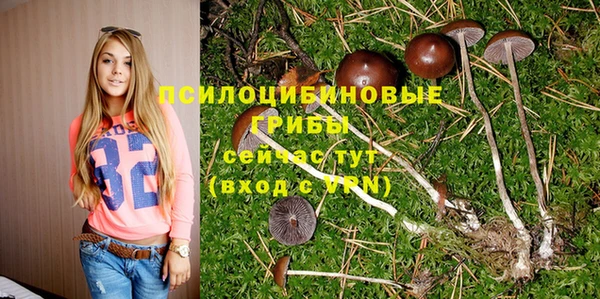 первитин Алексеевка