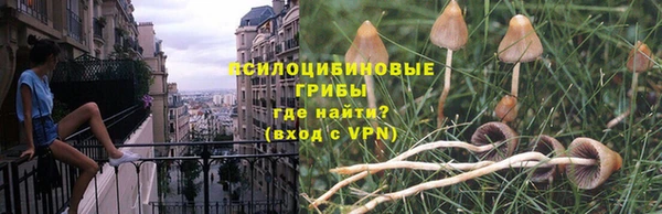 ешки Кедровый