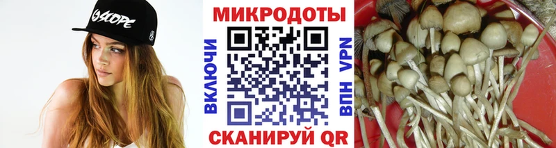 Галлюциногенные грибы Psilocybe  Купить закладки  Артёмовский 